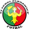 Wappen TJ Olbramice  121376