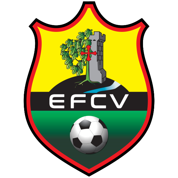 Wappen Entente Football Castelmaurou Verfeil  124213