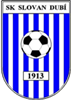 Wappen SK Slovan Dubí  125799