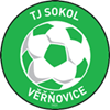 Wappen TJ Sokol Věřňovice  121256