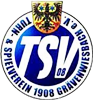 Wappen ehemals TSV Grävenwiesbach 1908   105528