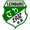 Wappen TV 1932 Leinburg  47150
