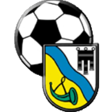 Wappen FC Schlins diverse  81982