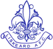 Wappen Liskeard Athletic FC diverse  87511