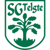 Wappen SG Telgte 1919 diverse