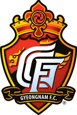 Wappen ehemals Gyeongnam FC  69821