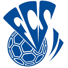 Wappen FC Sarrebourg diverse