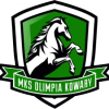 Wappen MZKS Olimpia Kowary diverse  96684