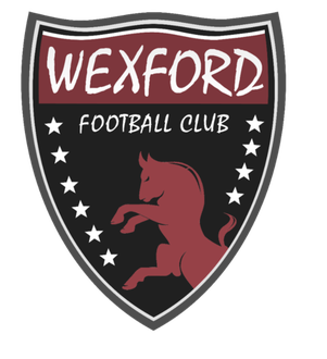 Wappen Wexford Youths WFC  85854