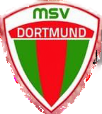 Wappen Marokkanischer Sportverein MSV Dortmund 2013 II  121430