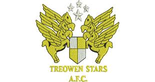 Wappen Treowen Stars FC