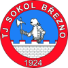 Wappen TJ Sokol Březno  42027