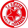 Wappen TJ Slavia Malé Hoštice  95649