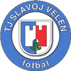 Wappen TJ Slavoj Veleň  125979