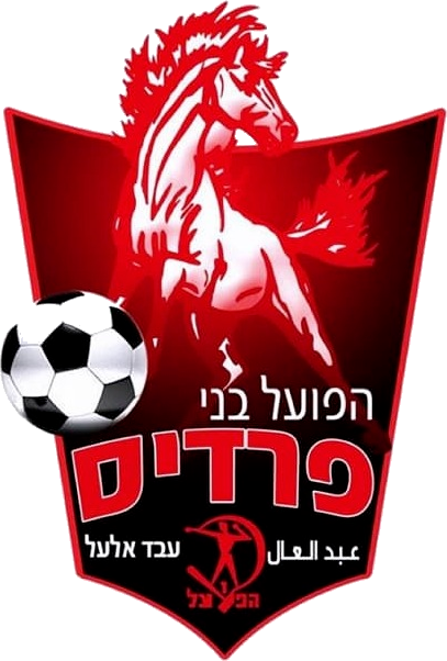 Wappen Hapoel Bnei Fureidis