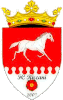 Wappen CF Rîșcani  5420