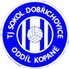 Wappen TJ Sokol Dobřichovice  99410