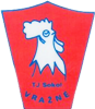 Wappen TJ Sokol Vražné   58700