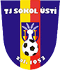 Wappen TJ Sokol Ústí  24488