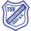 Wappen TSV Ammerndorf 1924  53852
