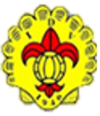 Wappen Desportivo Vieirense
