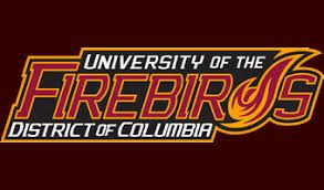 Wappen District of Columbia Firebirds