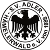 Wappen SV Adler 1888 Hämelerwald II  78637