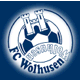 Wappen FC Wolhusen diverse  118128