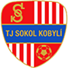 Wappen TJ Sokol Kobylí  81011
