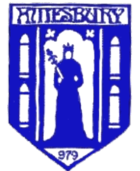 Wappen Amesbury Town FC
