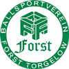 Wappen BSV Forst Torgelow 1976  33018