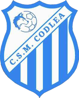 Wappen CSM Codlea  53196