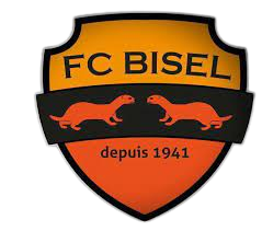 Wappen FC Bisel  120526