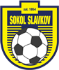 Wappen TJ Sokol Slavkov   129067