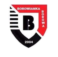 Wappen KS Borowianka Borowa  112957