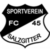 Wappen FC 45 Salzgitter  22643