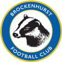 Wappen Brockenhurst FC  84239