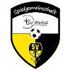 Wappen SG Pfofeld/Theilenhofen (Ground B)  49647