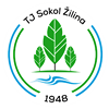 Wappen TJ Sokol Žilina