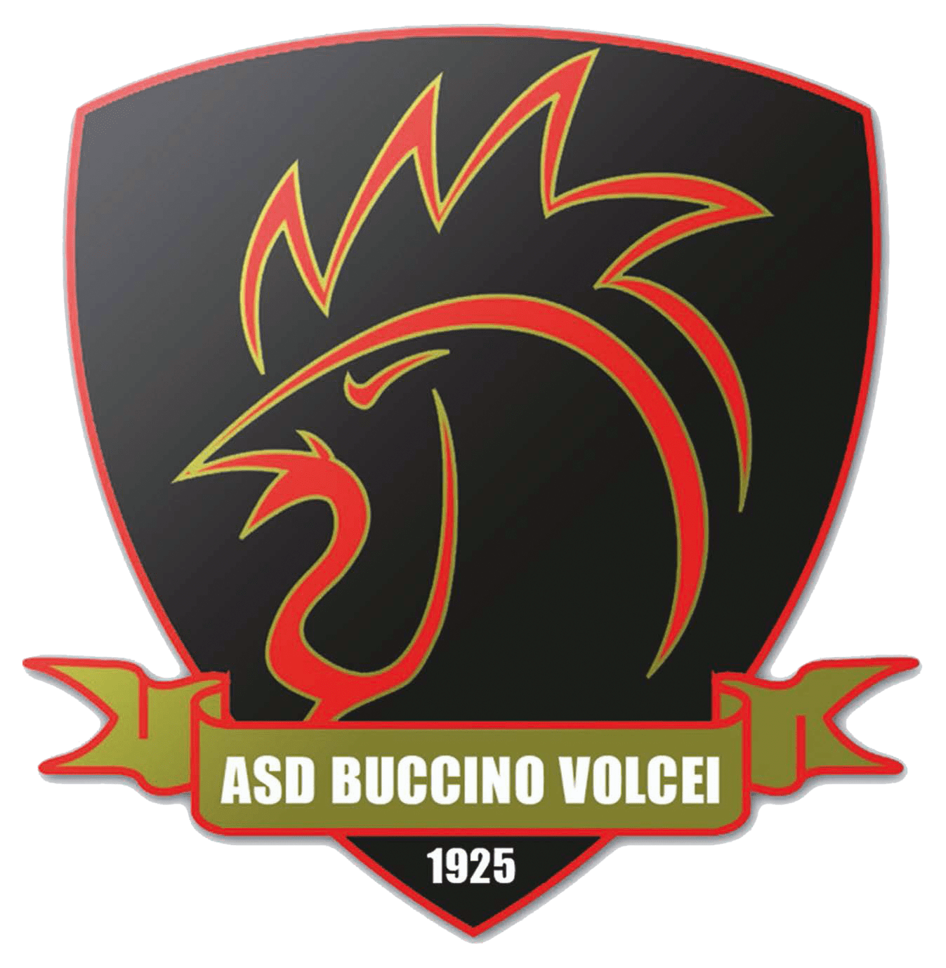 Wappen ASD Buccino Volcei 1925