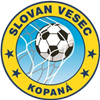 Wappen TJ Slovan Vesec  42572