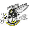 Wappen TSV Grüntegernbach 1978 II  53621
