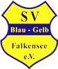 Wappen SV Blau-Gelb Falkensee 1981