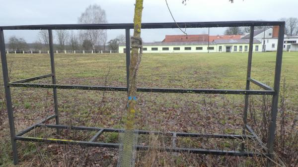 Sportplatz Groß Drewitz - Schenkendöbern-Groß Drewitz