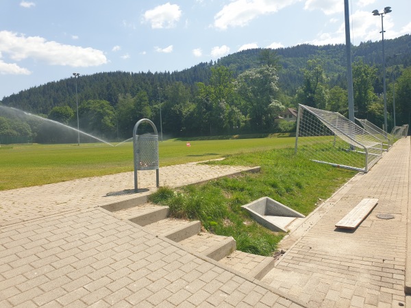 Fußballschule am Möslestadion Platz 2 - Freiburg/Breisgau