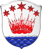 Wappen SSV 1945 Brensbach III  131923