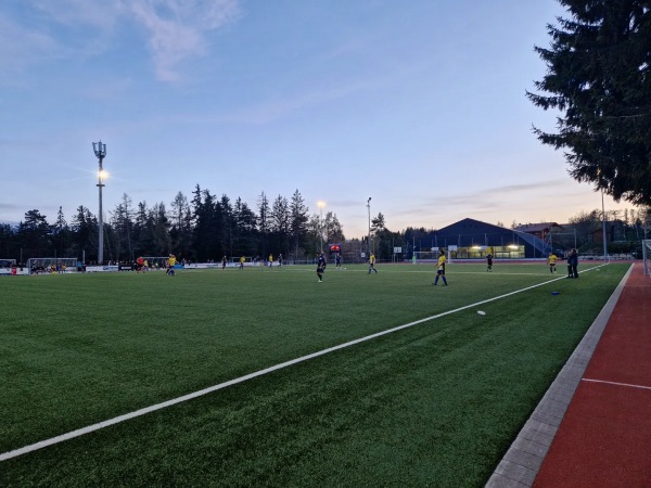 Stade de la Moubra - Crans-Montana