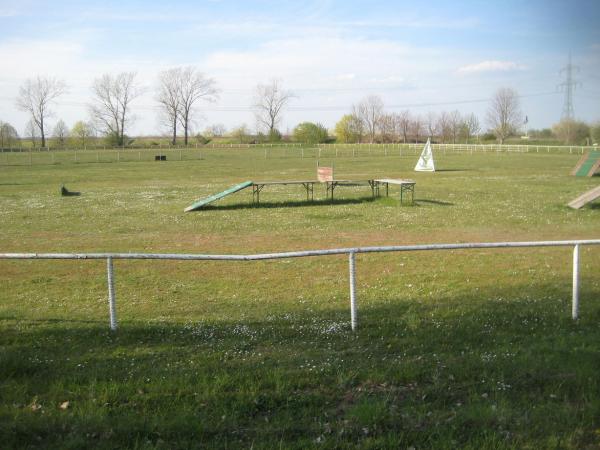 Kanalstadion - Niedere Börde-Groß Ammensleben