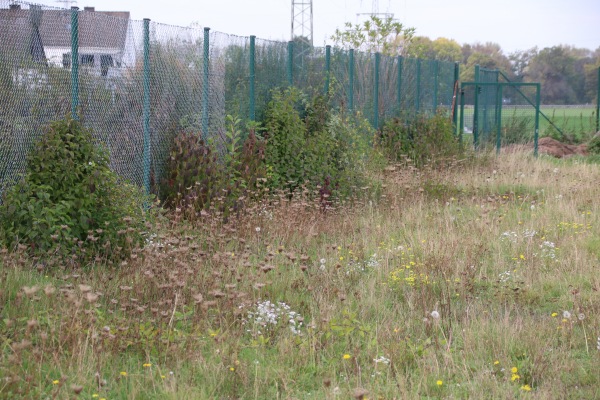 Sportplatz Stockheimer Weg - Kreuzau