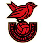 Wappen Bridgwater United FC